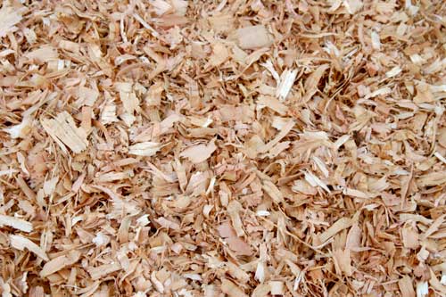 Wood shaving