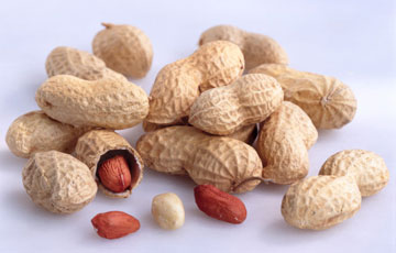 peanut shells