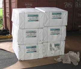 Sugarcane bagasse powders
