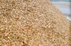 Sawdust
