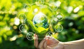 Environment Consulting