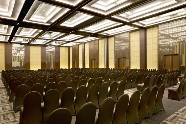 Meeting - Grand Thuy Son
