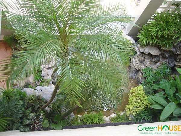 Yard, Garden Villa Design & Construction