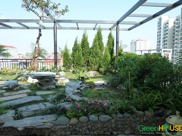 Yard, Garden Villa Design & Construction
