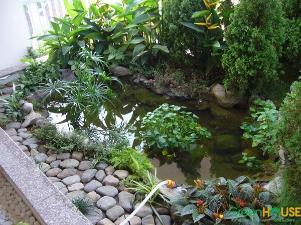 Yard, Garden Villa Design & Construction