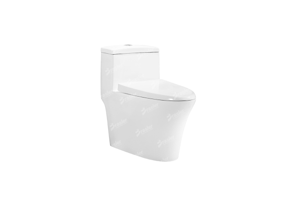 Toilet - F308