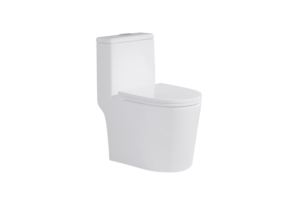 Toilet - F317