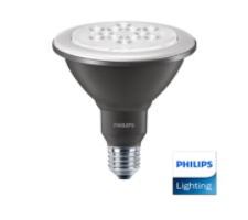 LED light