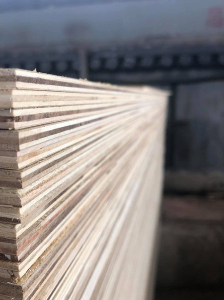 Birch Edge