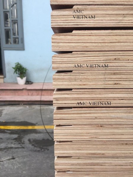Container Flooring Plywood