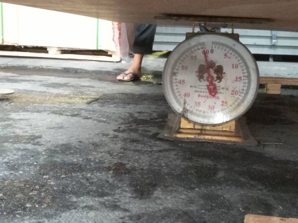 Container Flooring Plywood
