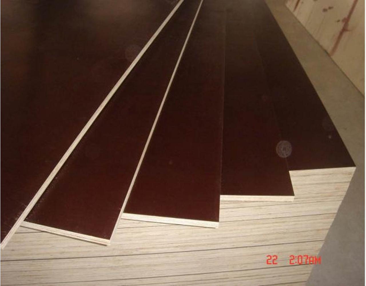 WBP plywood