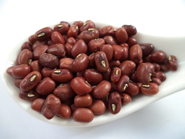 Small red bean