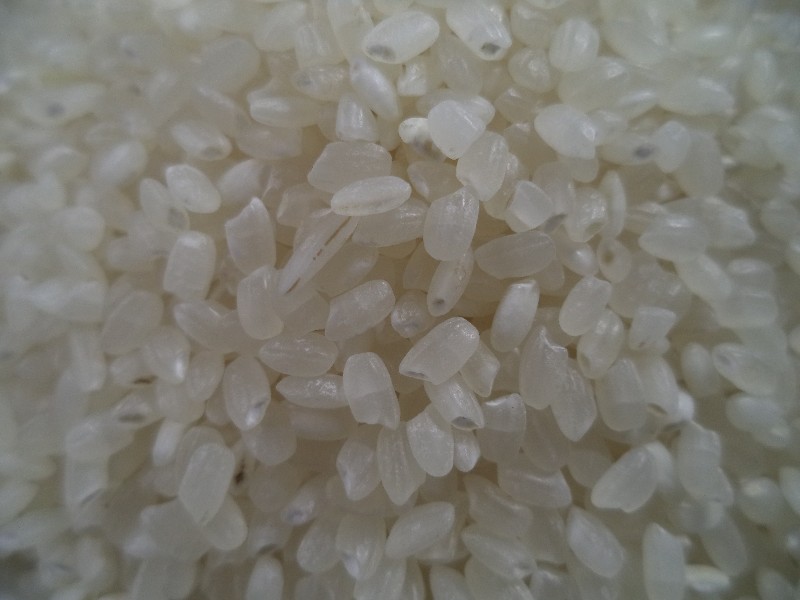 Japanese rice
