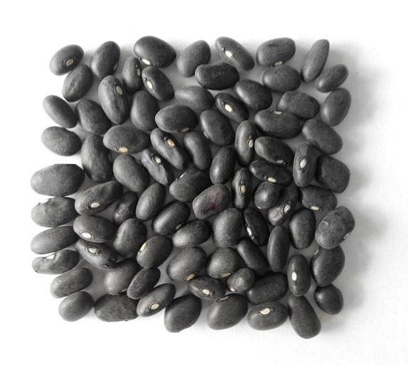 Phuc An black bean