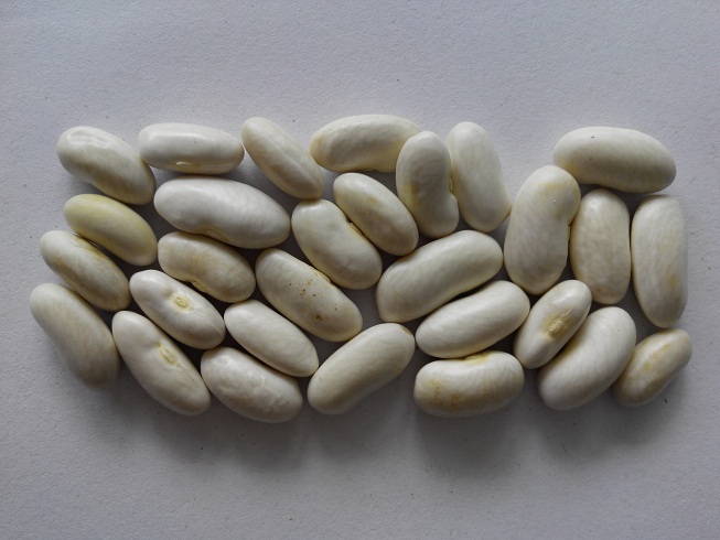 Da Lat white bean