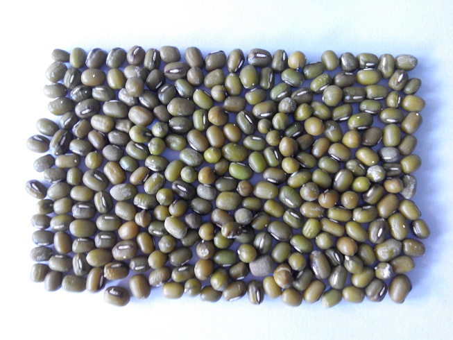 Green bean