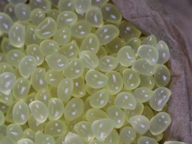 Hot melt glue for upholstery