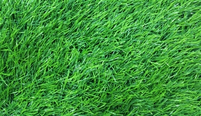 VinaGrass artificial grass