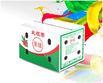 Carton packaging for fruit