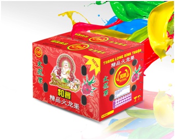Carton packaging for fruit