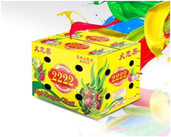Carton packaging for fruit