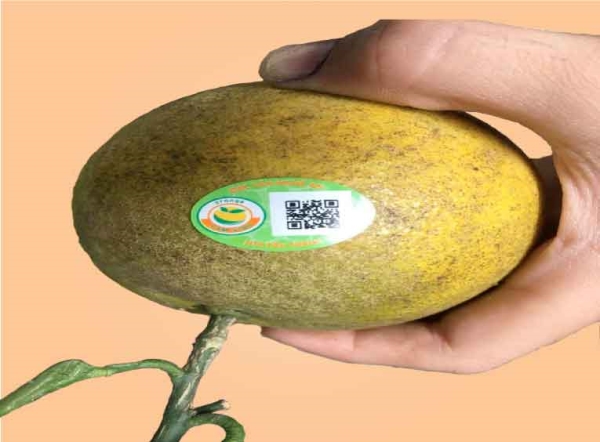 Traceability label printing