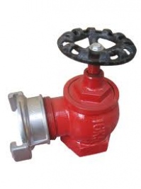 Root valve