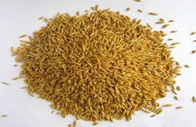 Wheat meal