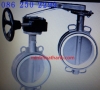 PTFE Butterfly valve