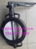 SW Butterfly valve
