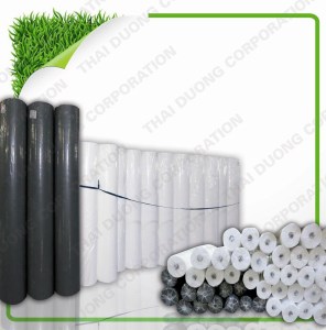 Non woven fabric & products