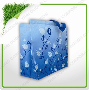 Non woven fabric & products