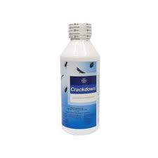 Insecticide