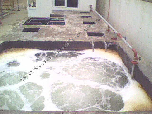 Wastewater treatment system