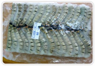 BLOCK HLSO BLACK TIGER