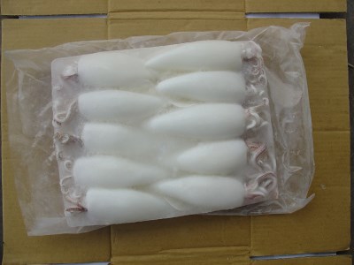 BLOCK SQUID WHOLE CLEAN