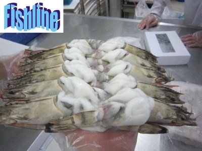 HOSO PEELED SPECIAL BODY