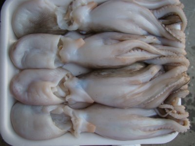 OCTOPUS DOUBLE SKIN