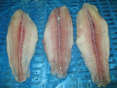 PANGASIUS FILLET UN TRIMMED, EU TREATED