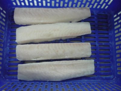 PANGASIUS LOIN