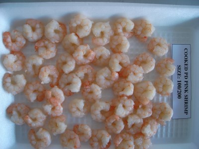 PINK SHRIMP PD 100-200