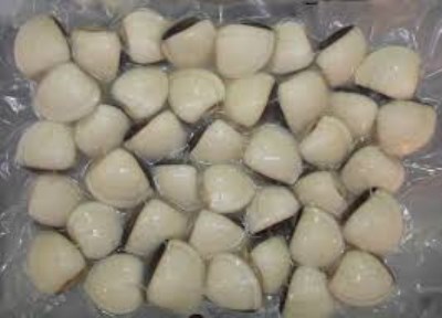 WHOLE ROUND WHITE CLAM 1KG BAG VACCUM