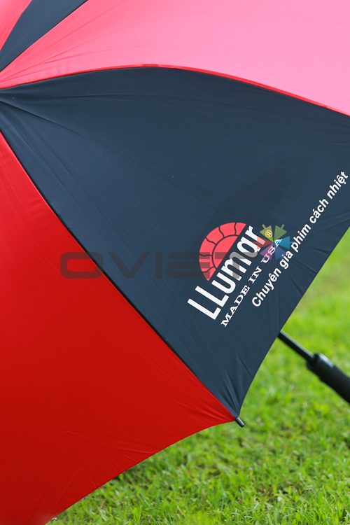 Umbrellas