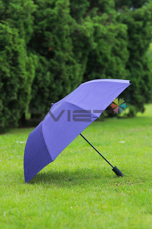 Double-fold umbrella