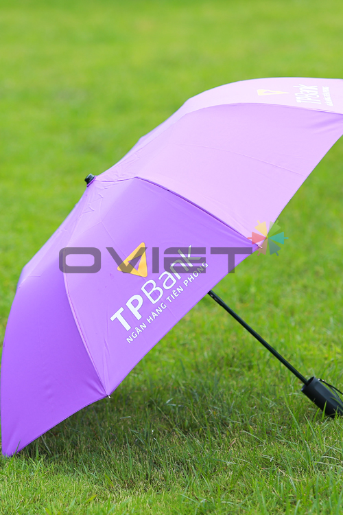 Double-fold umbrella