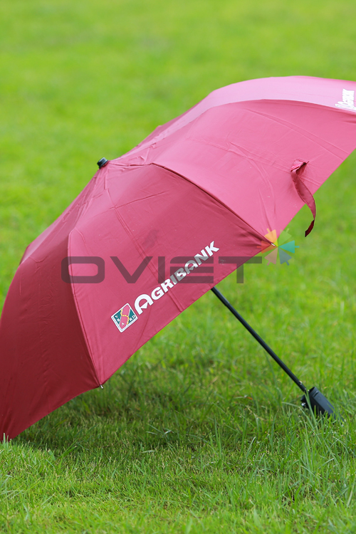 Double-fold umbrella
