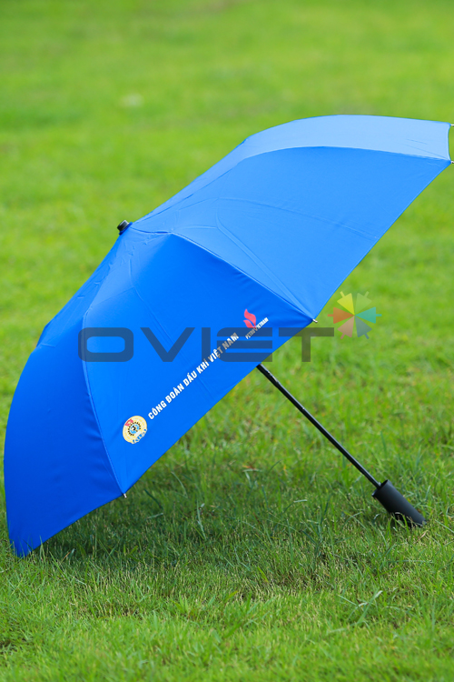 Double-fold umbrella
