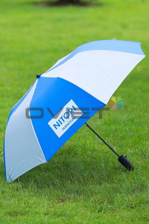 Double-fold umbrella