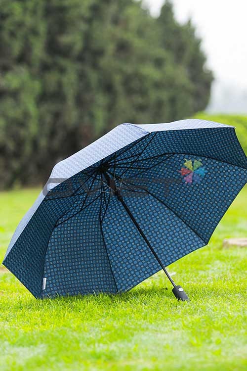 Double-fold umbrella